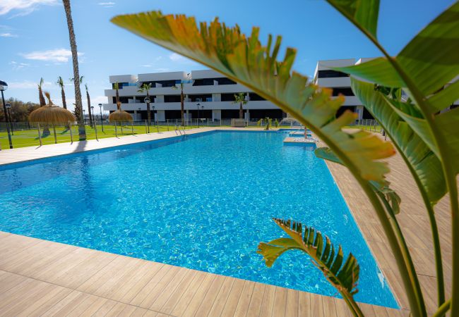 Aparthotel in Guardamar - SUPERIOR - 3-slaapkamer appartement